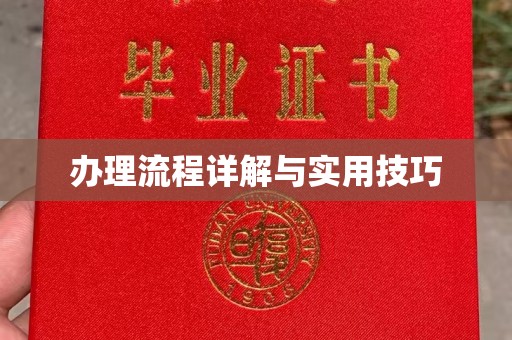 运河办理流程详解与实用技巧