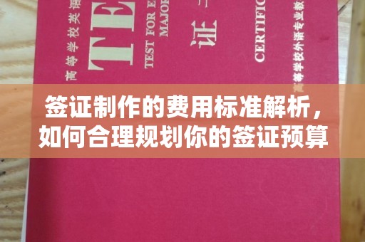 运河签证制作的费用标准解析，如何合理规划你的签证预算