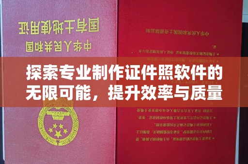运河探索专业制作证件照软件的无限可能，提升效率与质量