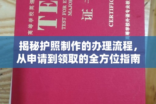 运河揭秘护照制作的办理流程，从申请到领取的全方位指南