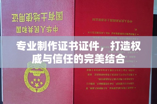 运河专业制作证书证件，打造权威与信任的完美结合
