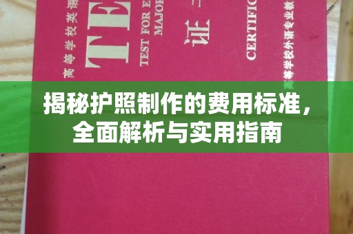 运河揭秘护照制作的费用标准，全面解析与实用指南