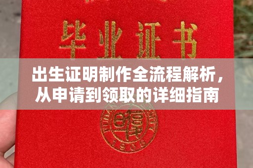 运河出生证明制作全流程解析，从申请到领取的详细指南