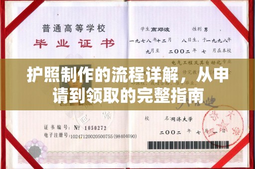 运河护照制作的流程详解，从申请到领取的完整指南
